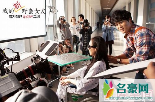 我的新野蛮女友剧照
