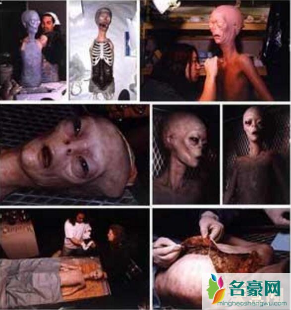 解剖外星人
