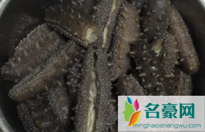 煮海参多久能熟3
