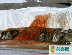 南极血瀑布是怎么形成的，铁元素被氧化形同血流成