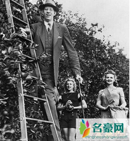 罗伯特·潘兴·瓦德罗