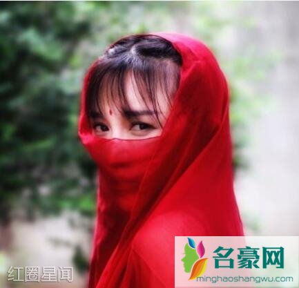 天天向上李子柒是哪一期