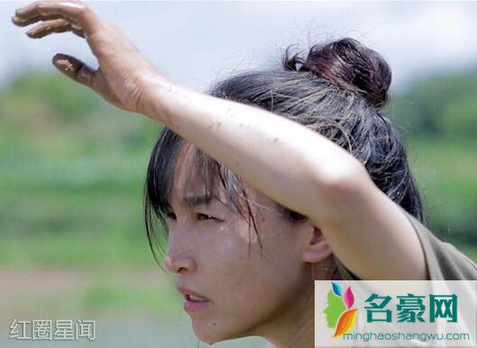 天天向上李子柒是哪一期