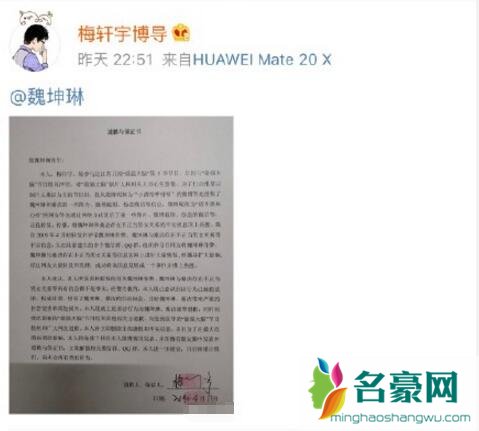 梅轩宇最强大脑在那场