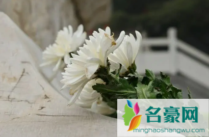 农历二月初二能不能祭祀1