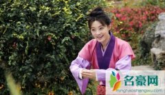 芈月传孙俪片酬多少85万一集吗 孙俪拍甄嬛一集多少