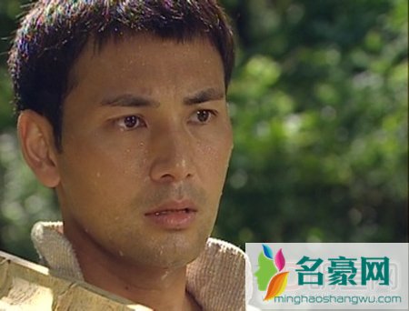林文龙主演的演过的最新电视剧 林文龙好看的电视剧