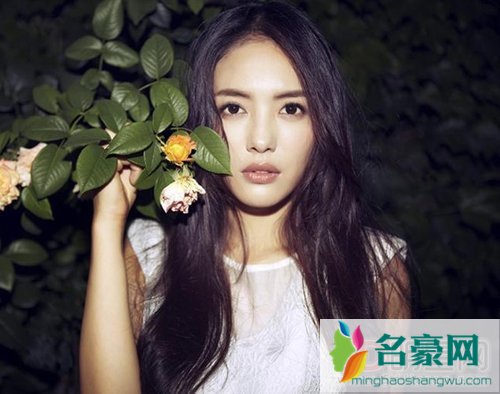 蔡文静老公是谁 蔡文静的胸内衣写真