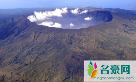 网传汤加火山爆发致扇贝涌入獐子岛真的假的1