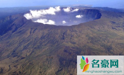 网传汤加火山爆发致扇贝涌入獐子岛真的假的3