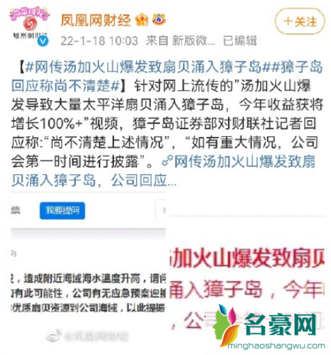 网传汤加火山爆发致扇贝涌入獐子岛真的假的2