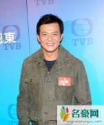 黄日华主演的演过的经典电视剧 黄日华主演的古装