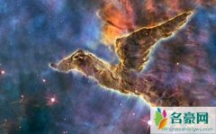 宇宙中最恐怖的生物，比银河系还大的生物可能真的