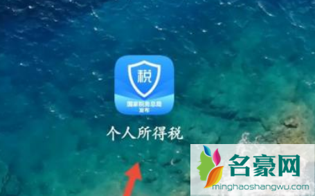 个人所得税办税指南在哪看7