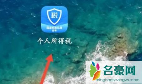 个人所得税办税指南在哪看2