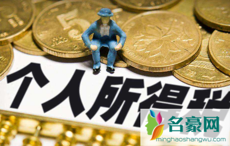 个人所得税办税指南在哪看1