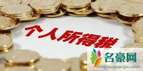 个人所得税办税指南在哪看6