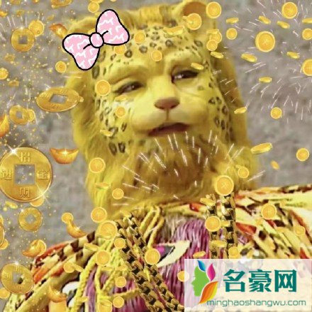 金钱豹头像是什么梗8