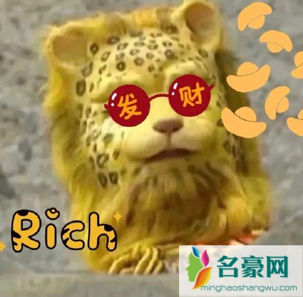 金钱豹头像是什么梗7