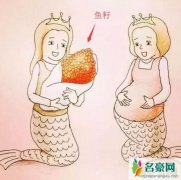 美人鱼是怎么生孩子的，真实美人鱼生孩子图片