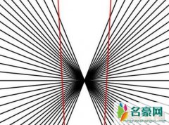 离奇诡异的黑林错觉图片，能让人产生幻觉认为直线