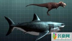 史前第一可怕巨兽，巨齿鲨体长20米能一口咬断鲸鱼
