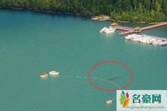 新疆喀纳斯湖水怪真相曝光，体长15米的大红鱼巨型
