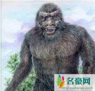 澳洲神秘野人幽威，长相凶猛的类人生物(身高3米