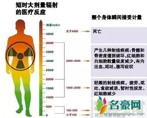 福岛50死士