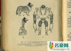前苏联砍了狗头恐怖实验，狗头分离制作机器狗与双