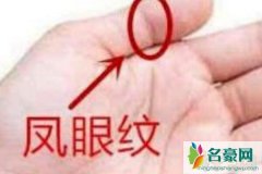 九种手纹的女人命好，看看你是那个好命的女人嘛