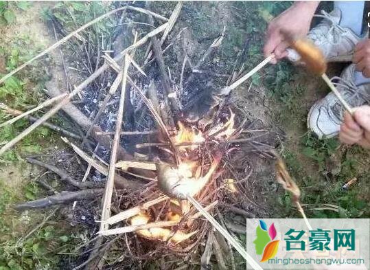 茂名露天矿灵异事件