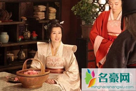 琅琊榜静妃发现梅长苏身份第几集 静妃和林家的关系