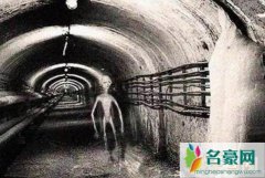 道西基地：美国外星人实验基地，藏有恐怖小灰人