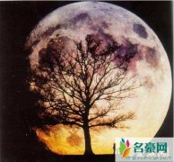 中国在月球发现了什么，月球背面有不明生物/探月