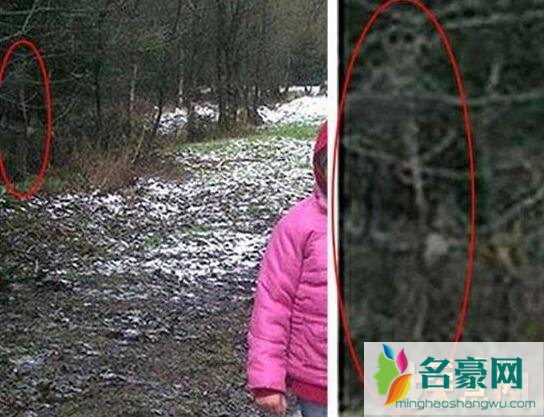 为什么政府隐瞒鬼神的存在