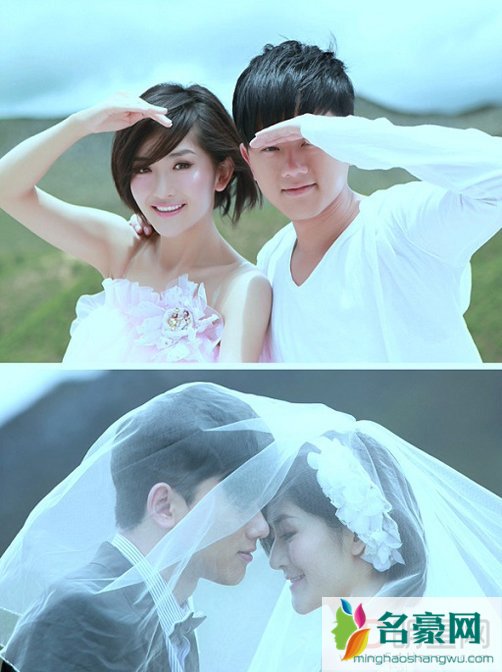 张杰谢娜离婚的原因 张杰谢娜为什么离婚