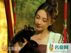 妖猫传杨贵妃怎么死的 妖猫传杨贵妃是猫妖吗