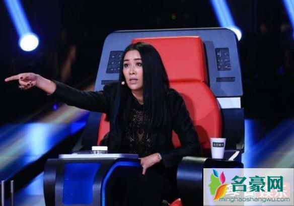那英遭网红偷拍是怎么回事 本人又是如何回应的?
