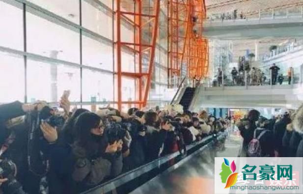 王晨艺怼机场代拍说了什么 到底什么是机场代拍?
