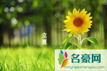 2022年立夏具体时间是几月几号几点几分2