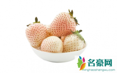 白色草莓是什么品种 白草莓和红草莓的区别