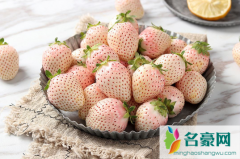 白色草莓和红色草莓哪个贵 吃草莓要注意什么