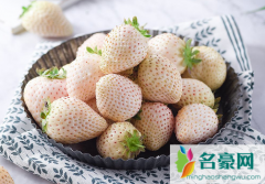 白色草莓是哪个国家的 白草莓的价格是多少