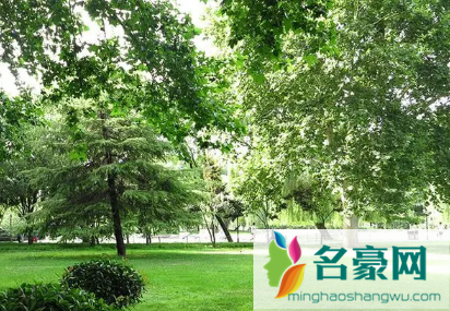 2022年夏天还有高温吗2