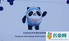 冰墩墩为什么不能说话 2022冬奥会吉祥物冰墩墩寓意
