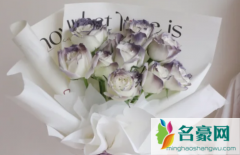 卡普里灰紫玫瑰是真花吗 21句情人节送花祝福文案