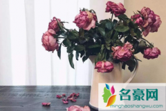 鲜花蔫了怎么恢复 鲜花可以用纯净水养吗