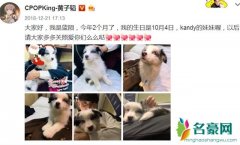 黄子韬被爱犬咬伤怎么回事 被宠物狗咬伤怎么处理