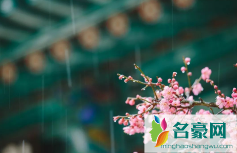 雨水节气几点到20231